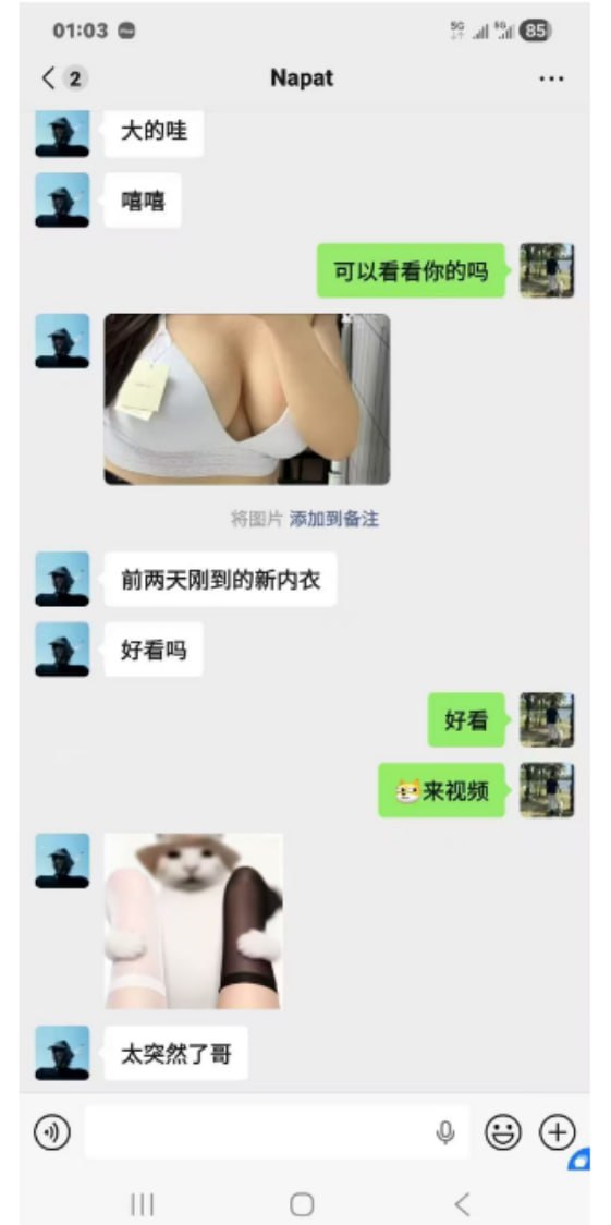 preview-image