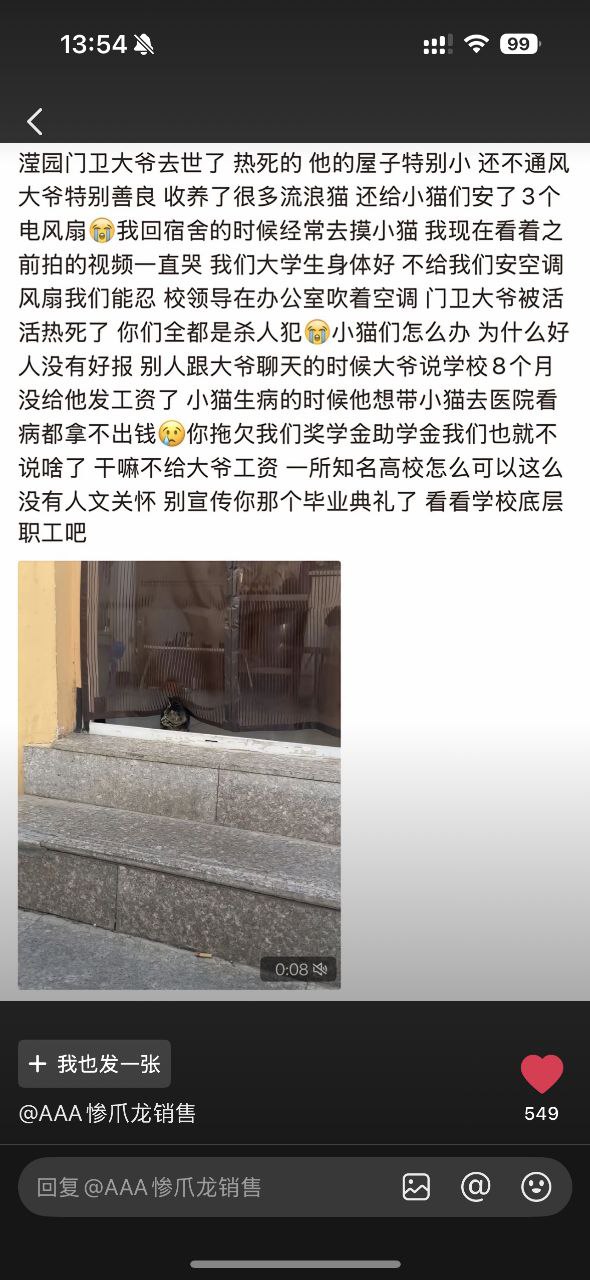 preview-image